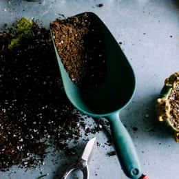 A planting tool in worked soil