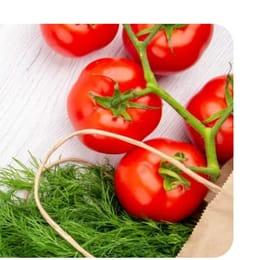 Vine tomatoes and fresh herbs after picking