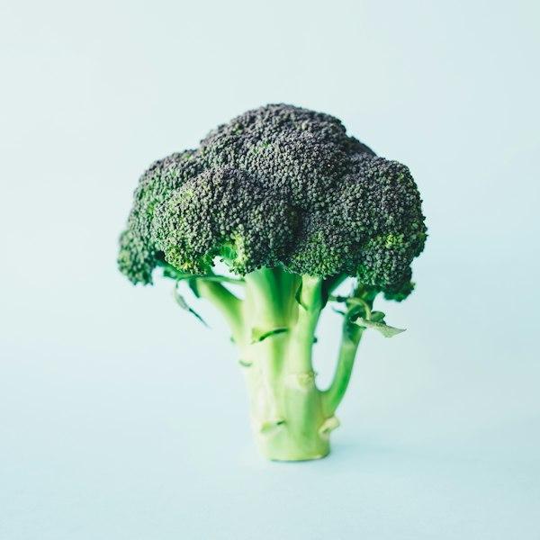 Broccoli heads and leafy greens after harvest