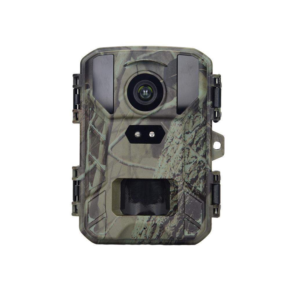 Camouflage Color