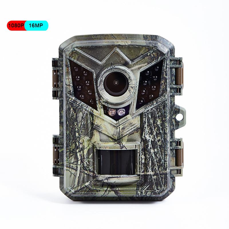 Camera