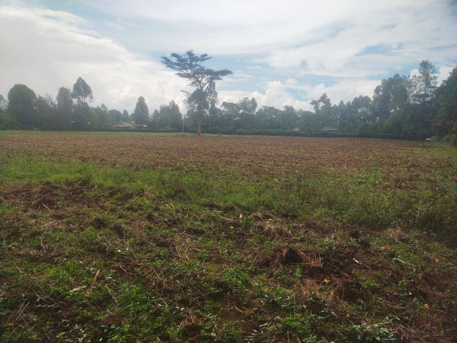 5 Acres Prime Land Near Kitale Airstrip