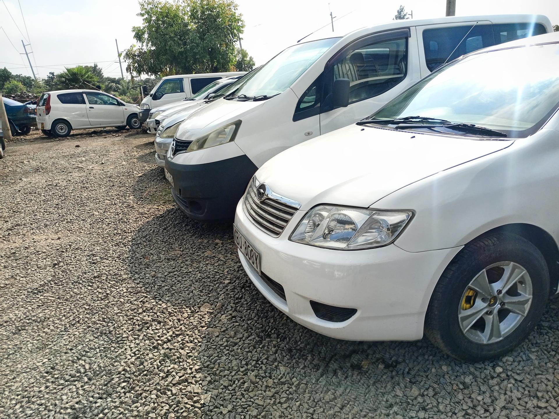 Option motors