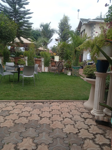 PLANT HOUSE RESTAURANT