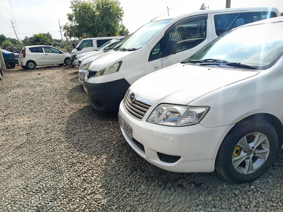 Option motors