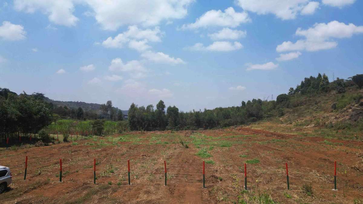 PLOTS FOR SALE