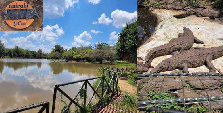 Nairobi Mamba Village Ltd