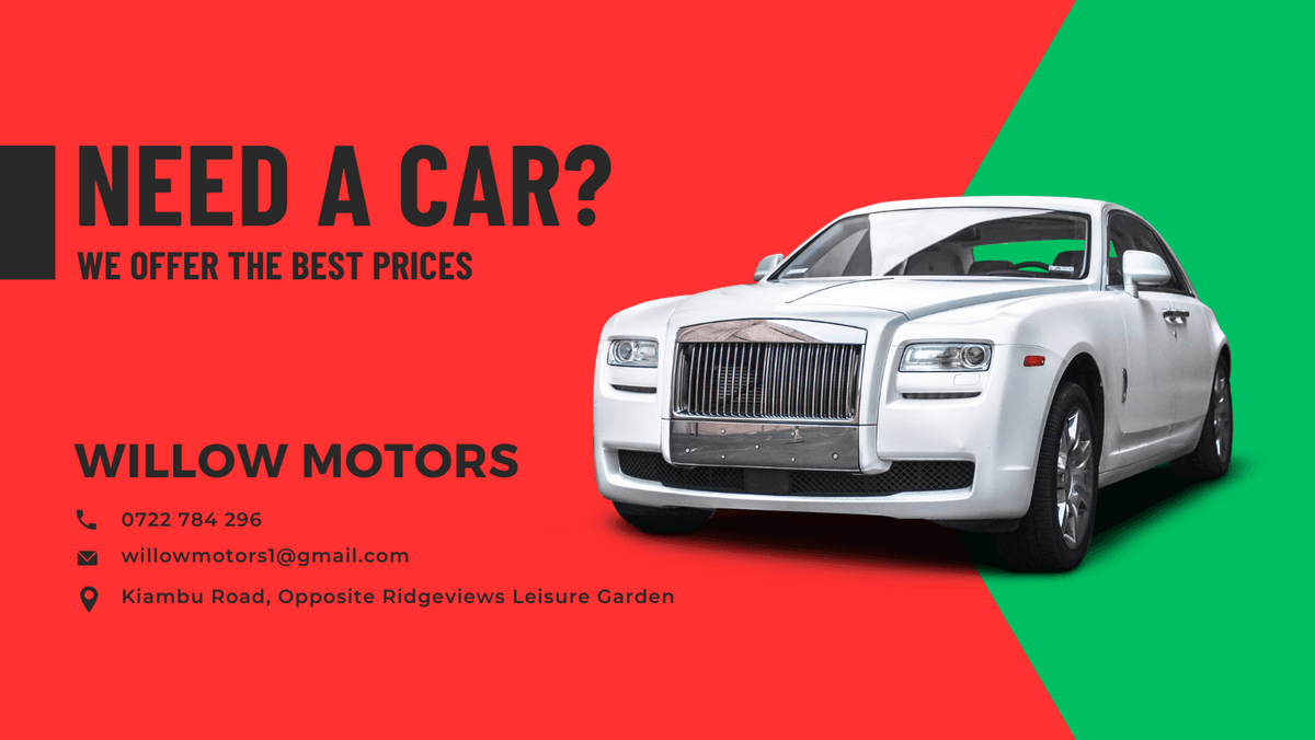 Willow Motors