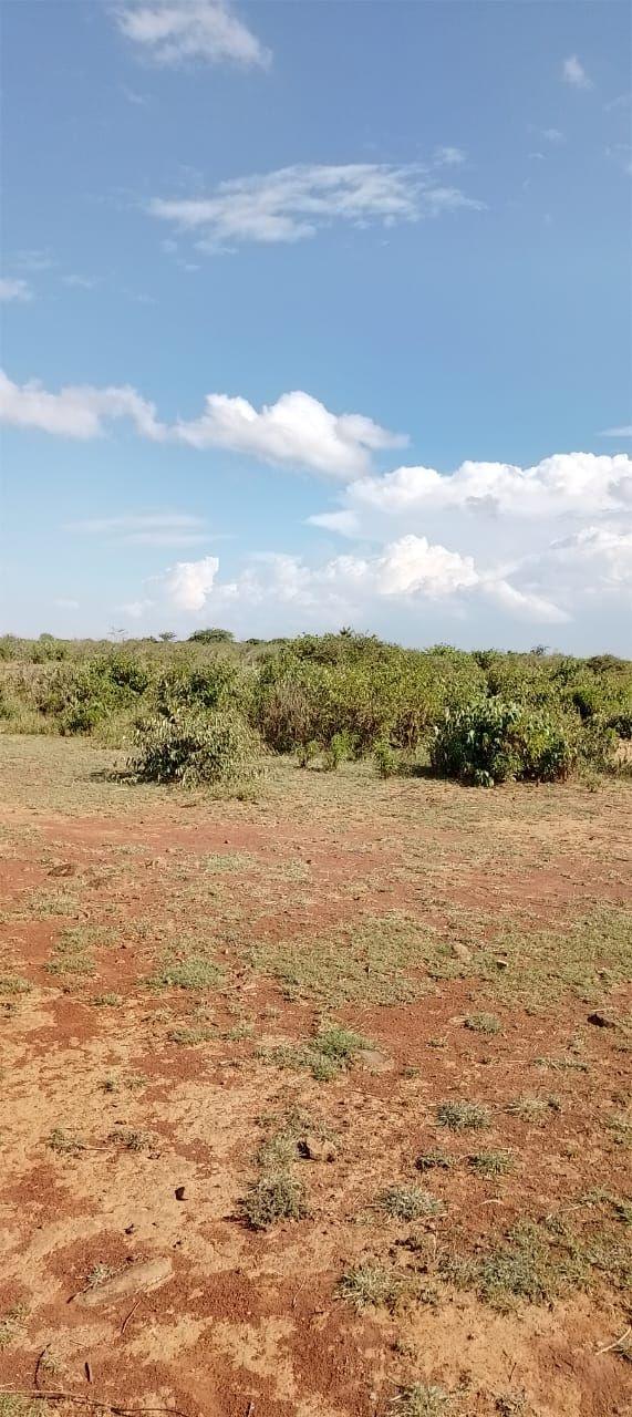 POSTA PARADISE ESTATE