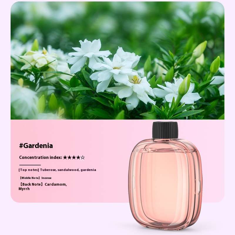 Essential Oil Only Fits V01pro Aroma Diffuser
