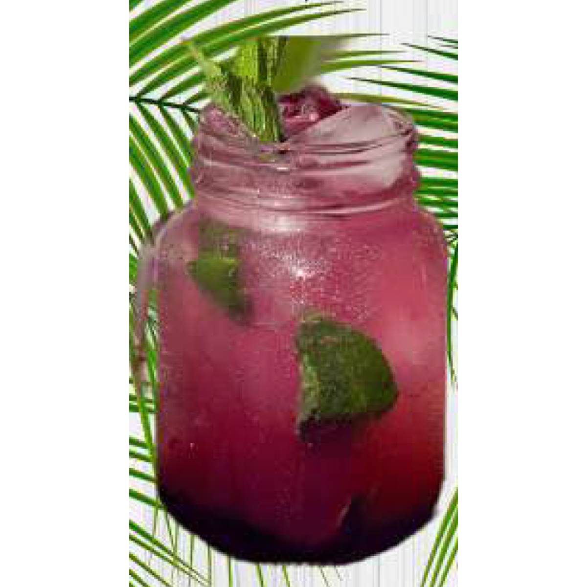 BlueBerry Mojito