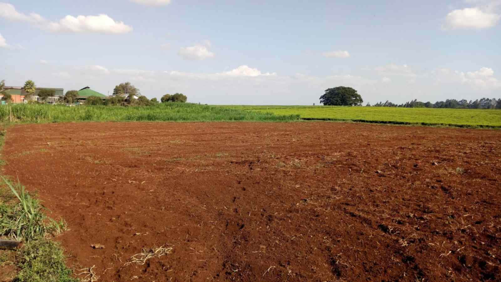 2 ACRES PRIME PLOT FOR SALE – MAGUMU (KENYATTA ROAD CENTER, FRONTING MAGUMU–NJABINI ROAD)