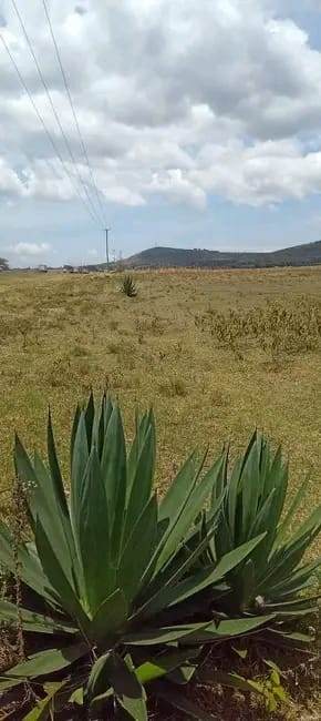 10 ACRES PRIME COMMERCIAL LAND – NAIVASHA–MAIMAHIYO ROAD (1KM FROM LONGONOT TOWN, FREEHOLD TITLE)