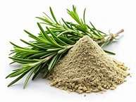 Rosemary Powder (50g)