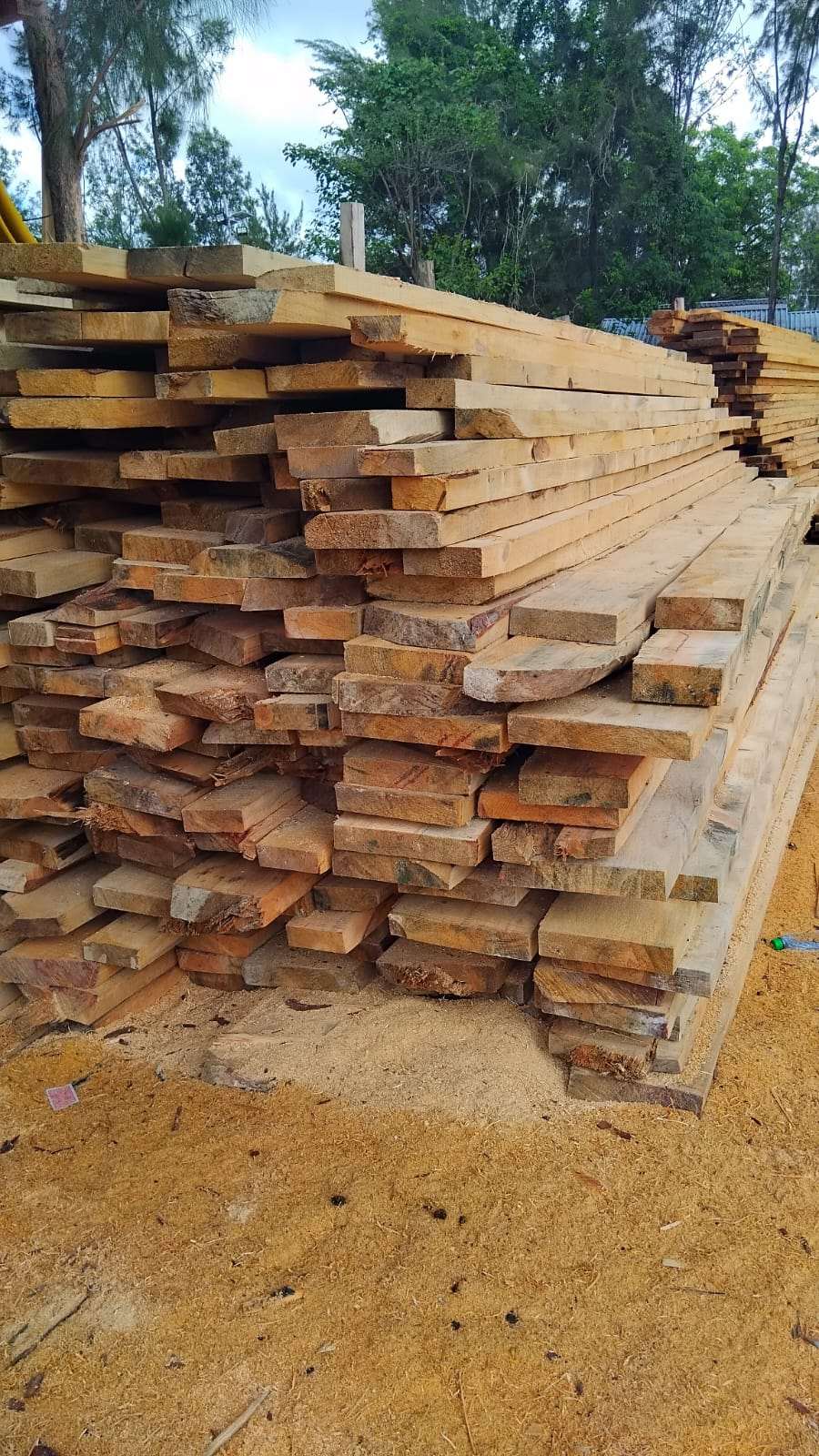Blue Gum Timber