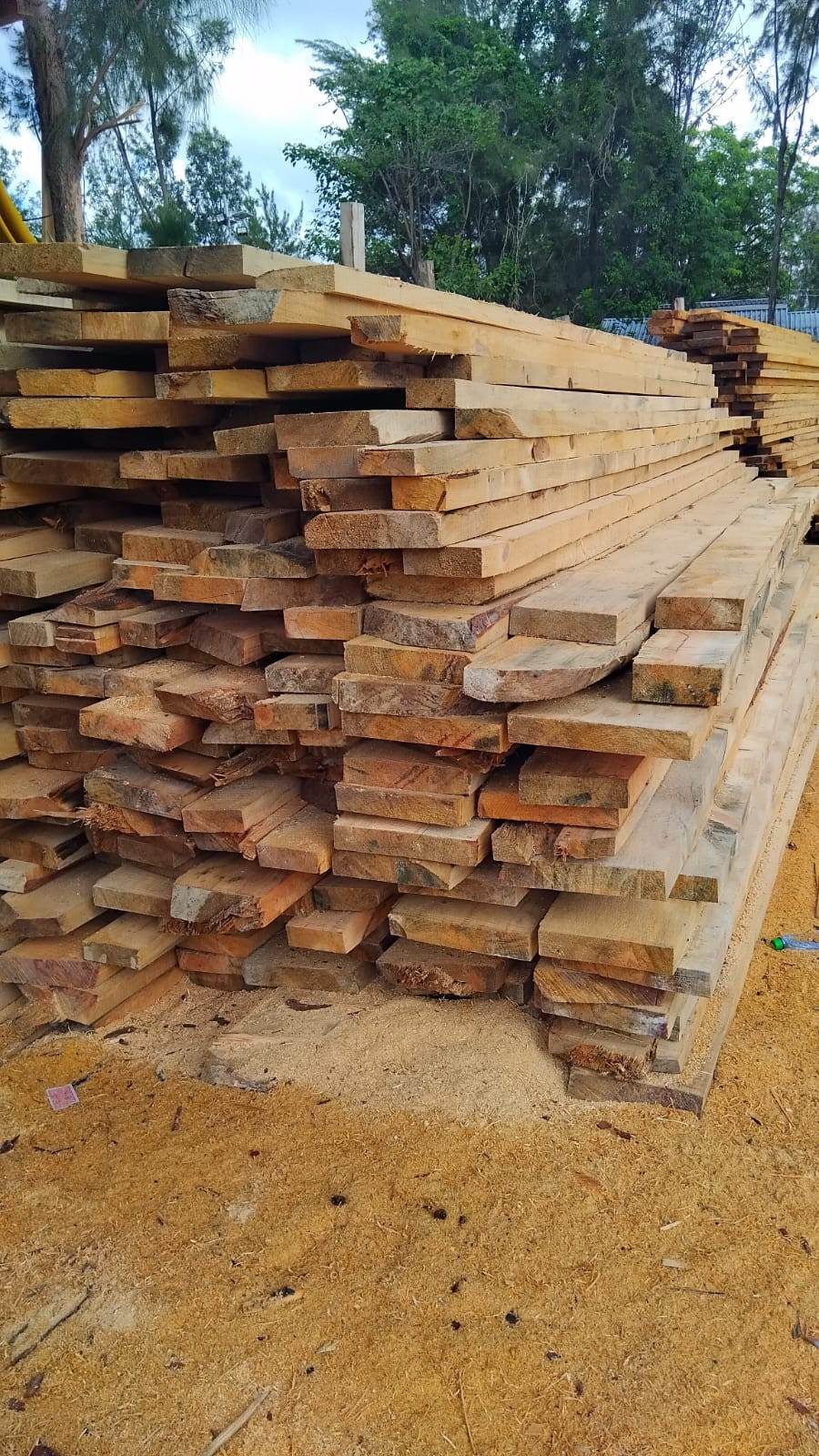 Blue Gum Timber