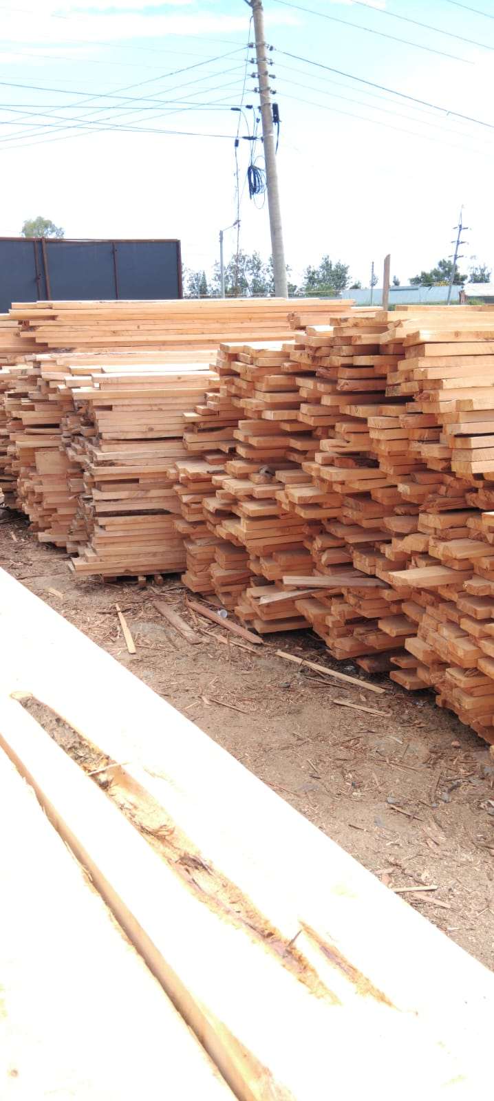 Cypress Timber