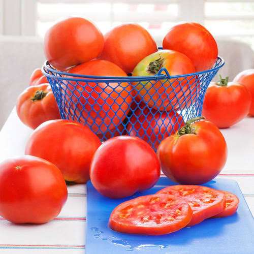 TFV TOMATO