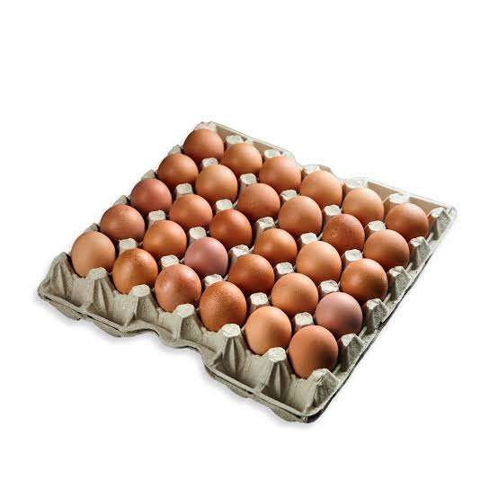 EGGS TRAY X 30