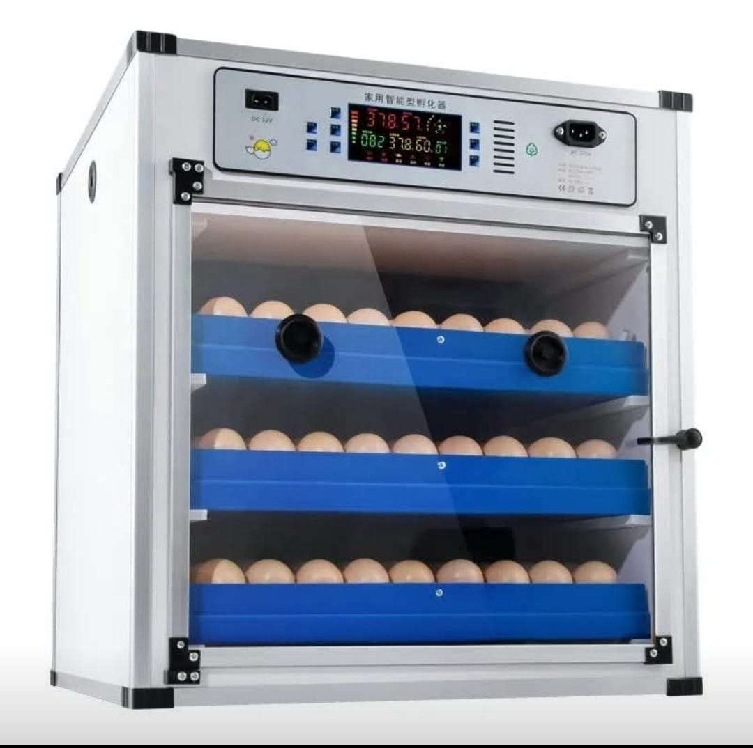 EGG INCUBATORS