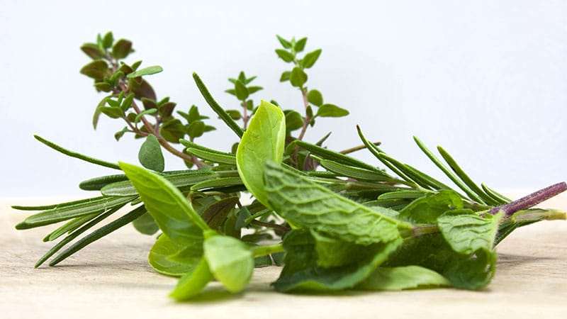 Herbs For Sugar