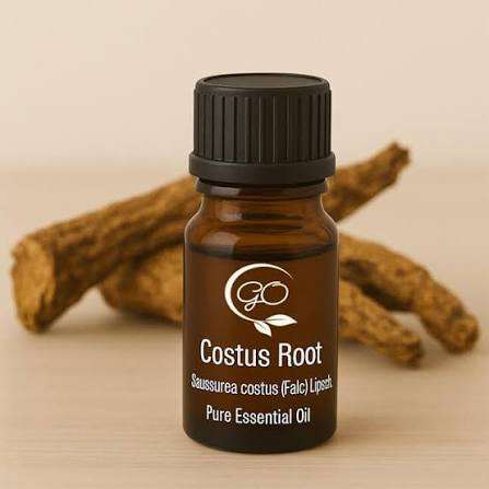 Costus Grinded Oil