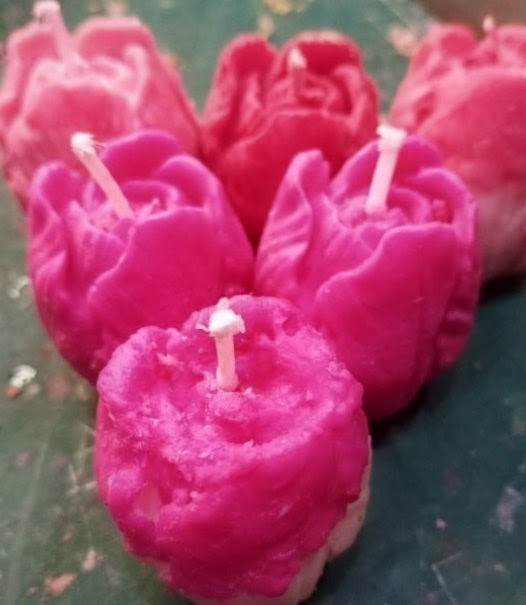 Tulips candles group