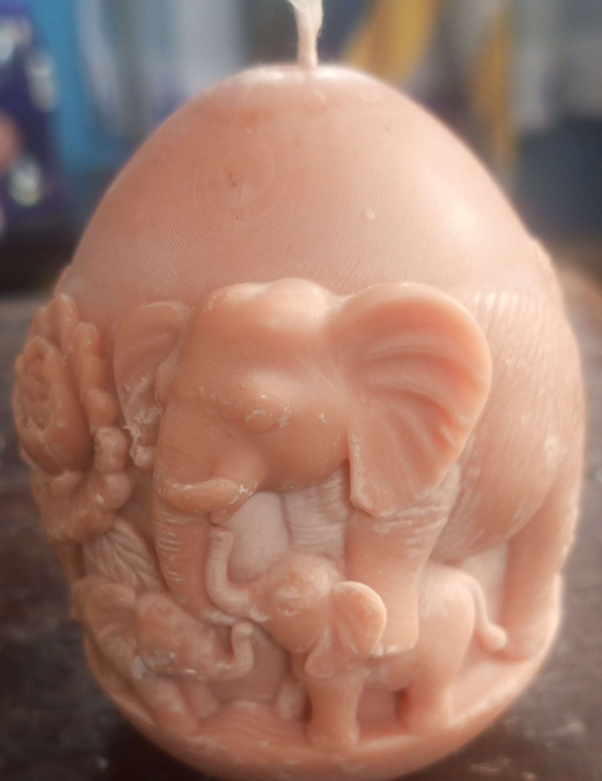 Elephants' family in an egg form