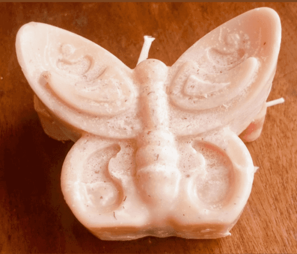 Big-butterfly-candle