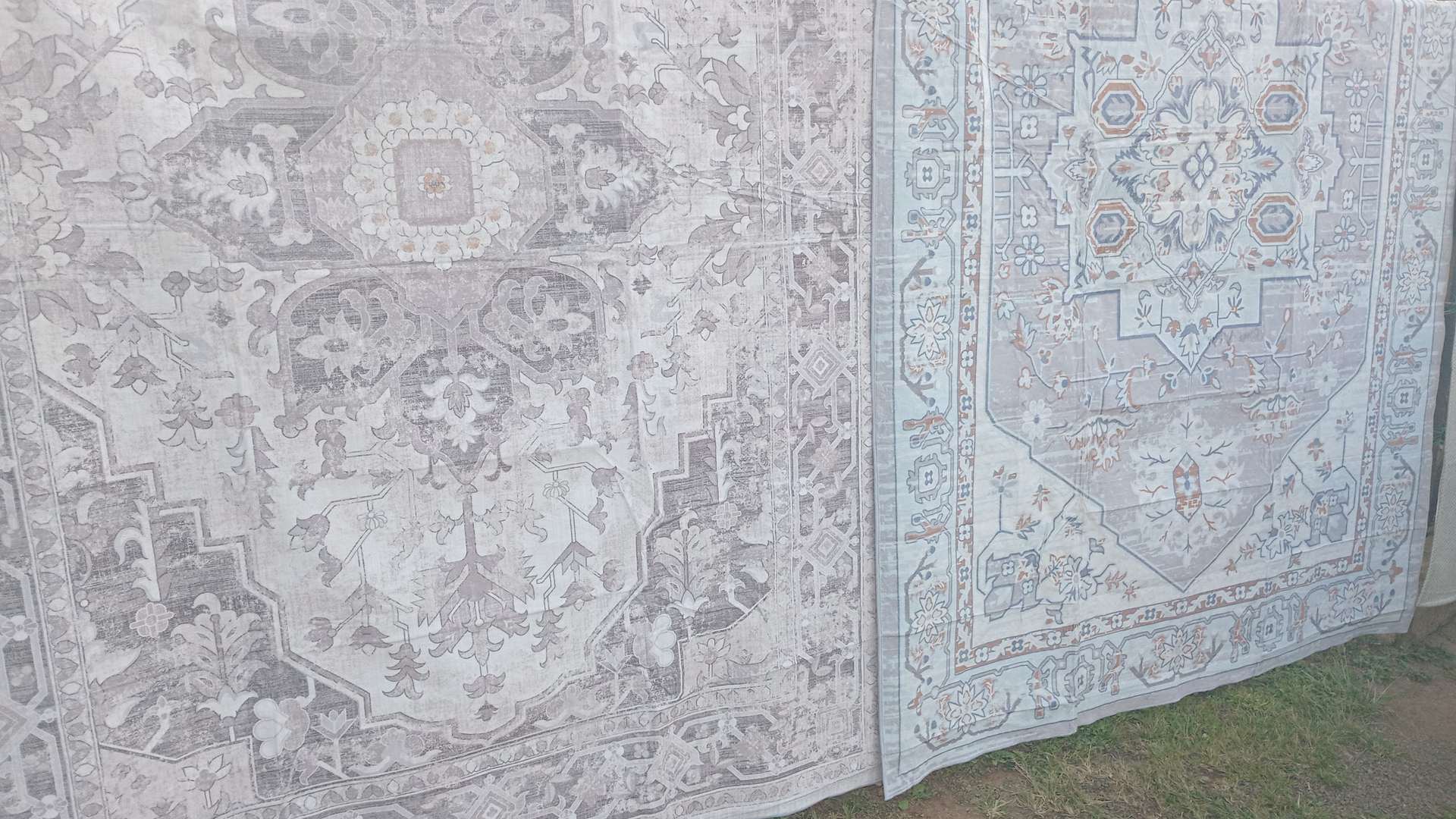 passia carpets