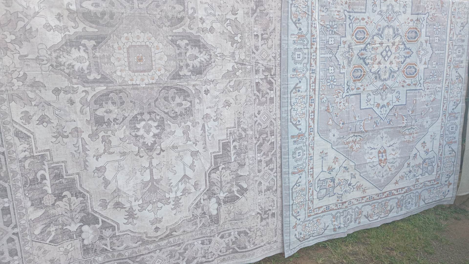 passia carpets