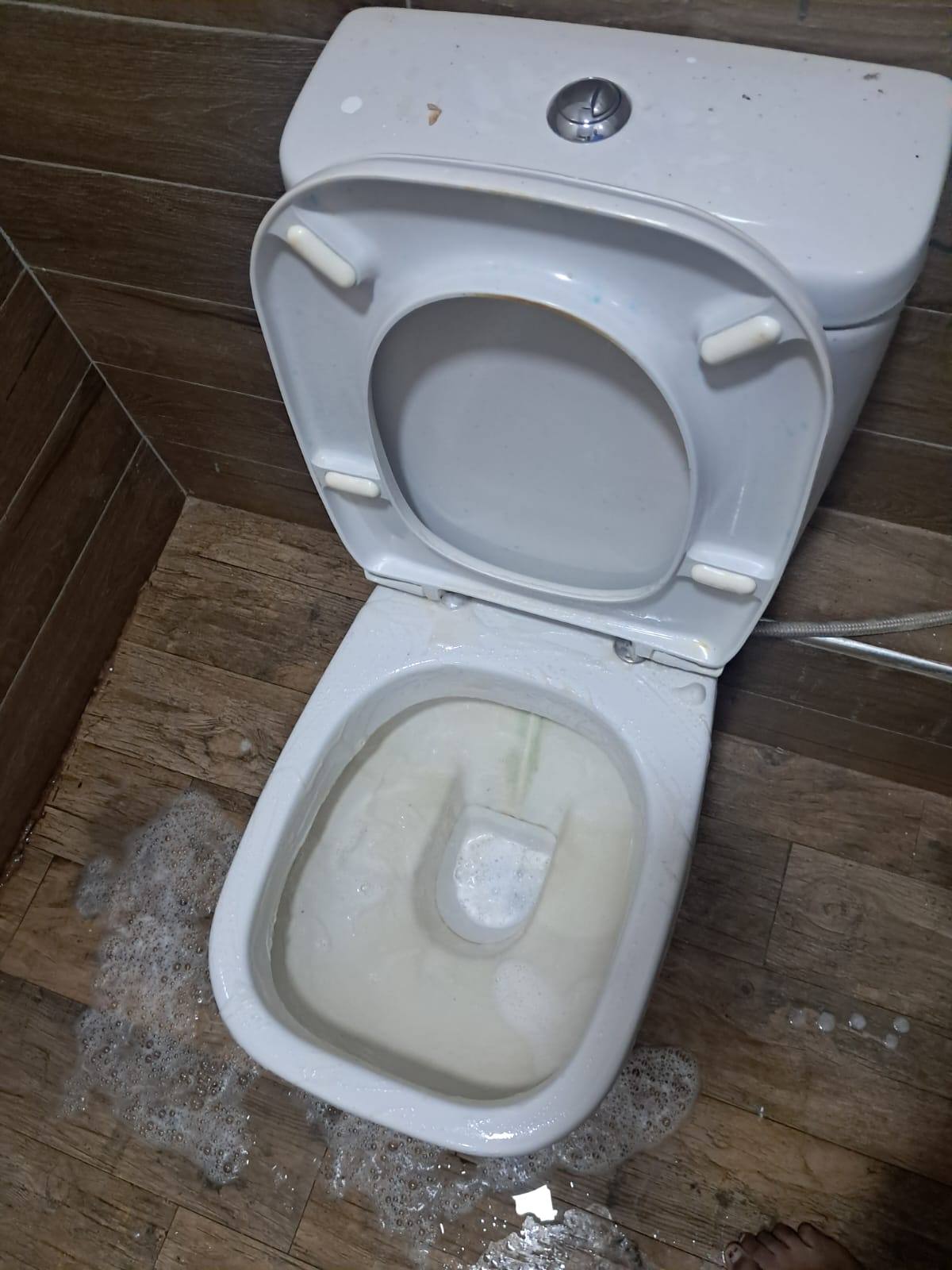 toilet bowl