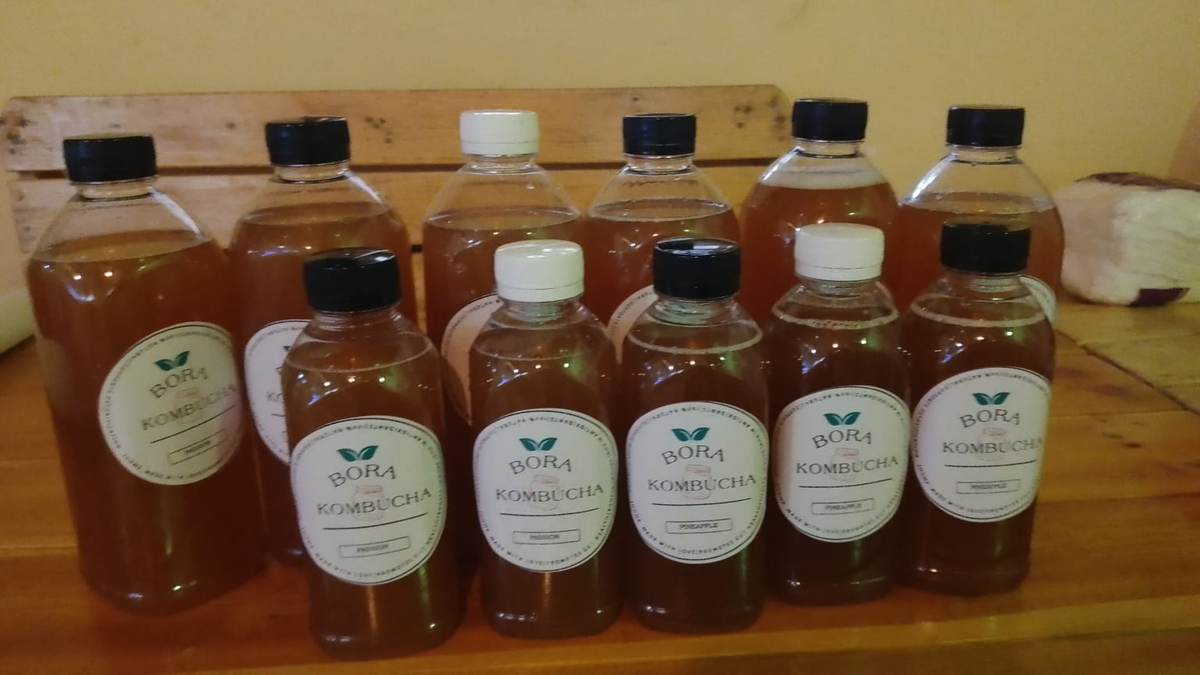 Bora kombucha