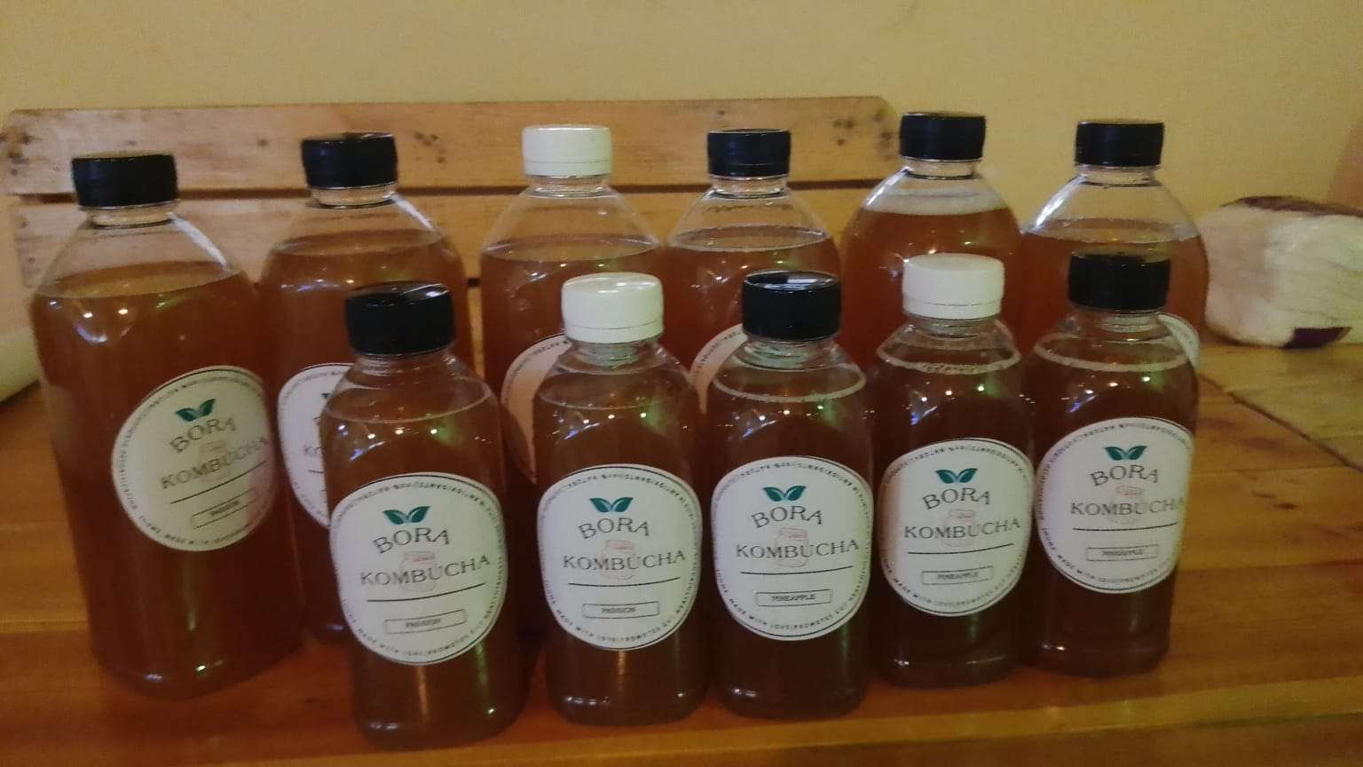 Bora kombucha