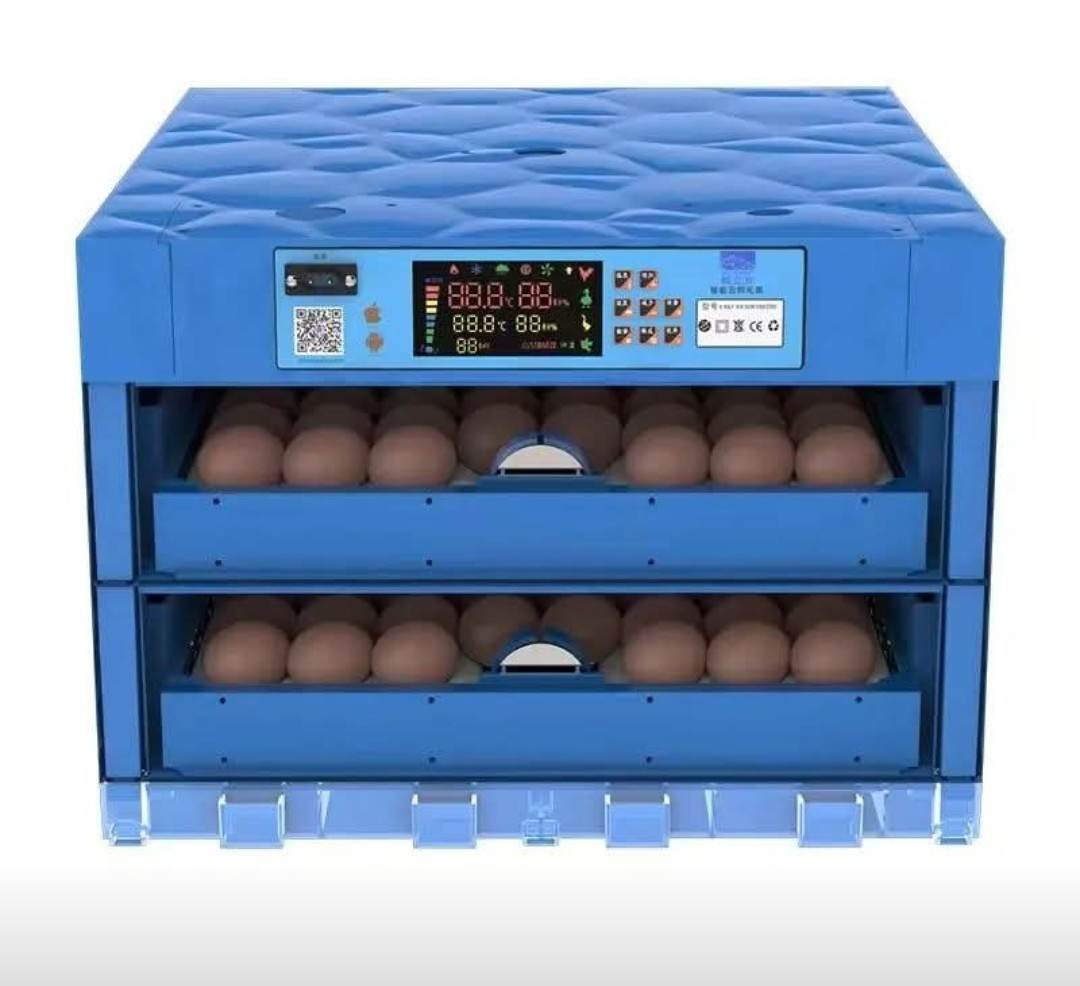 256 Eggs Incubator