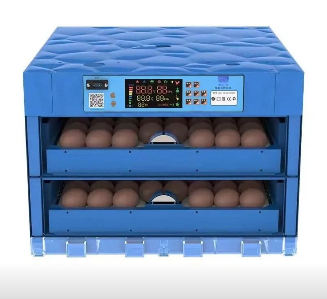 256 Eggs Incubator