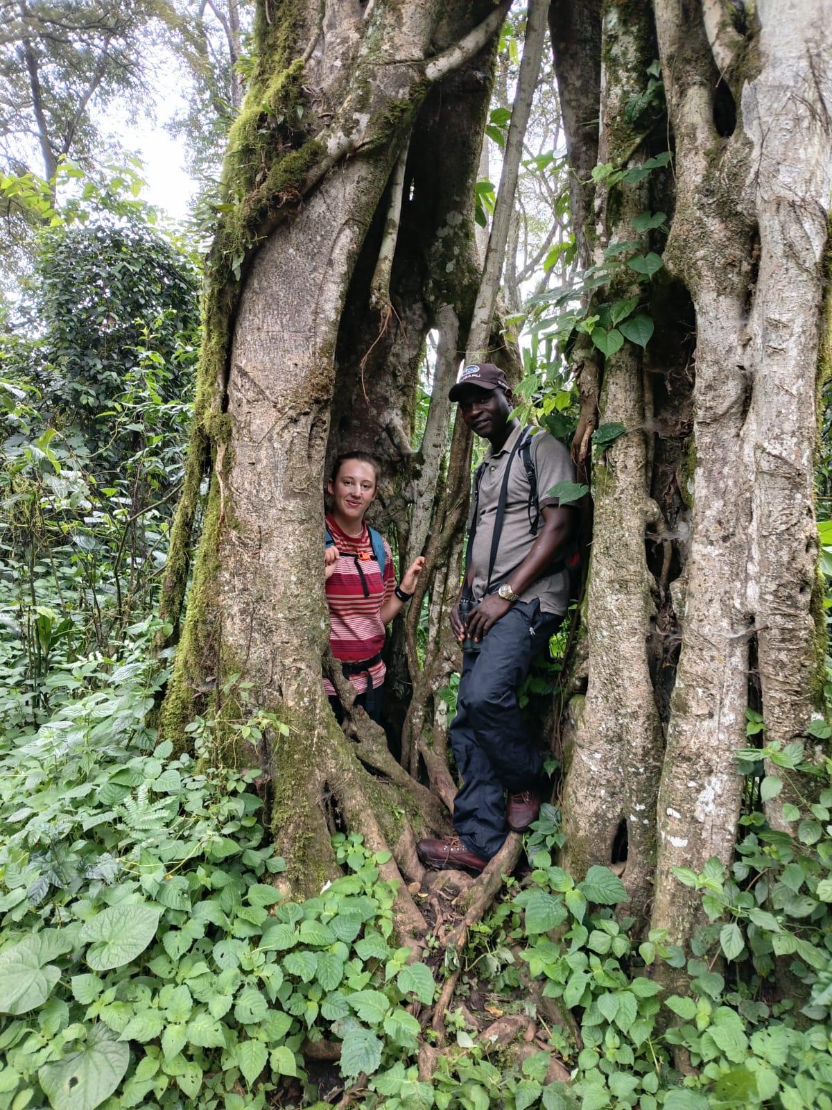 Kakamega Forest Primate Viewing