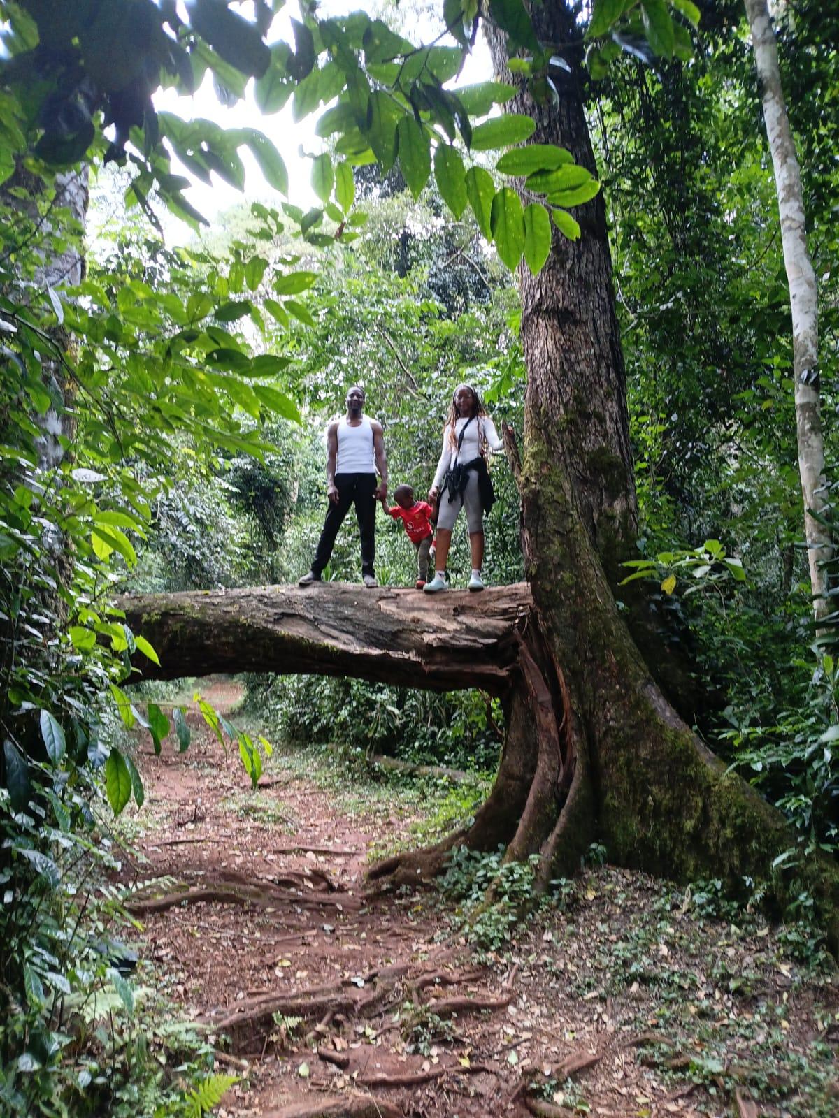 Kakamega Forest Whole-Day Walk