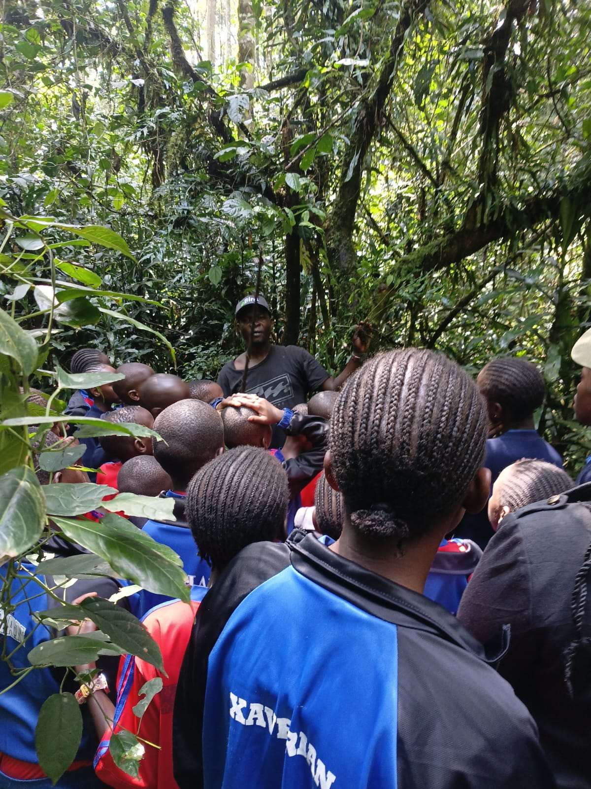 Kakamega Forest Bird Watching