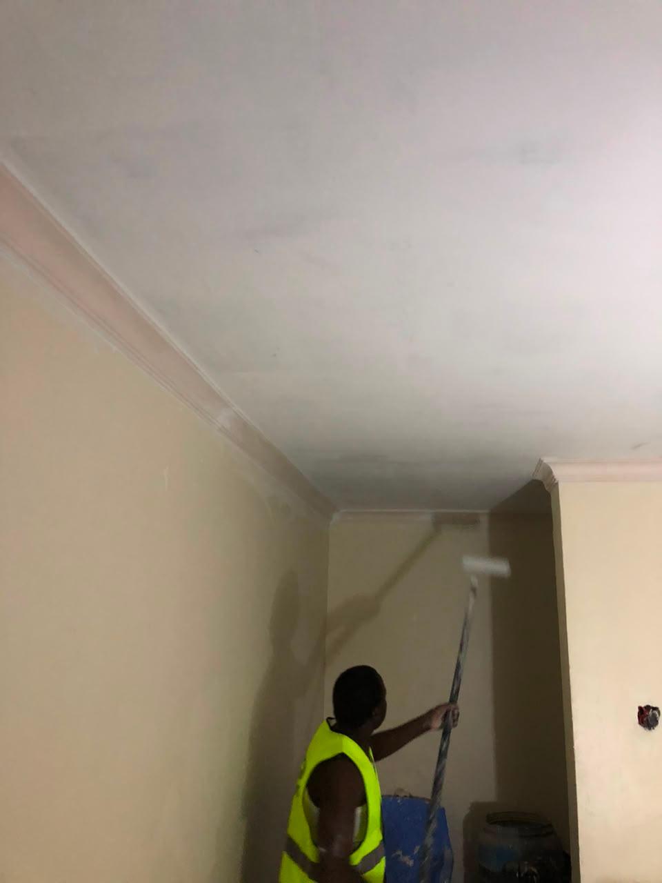 High-Performance Painting & Decorative Finishes