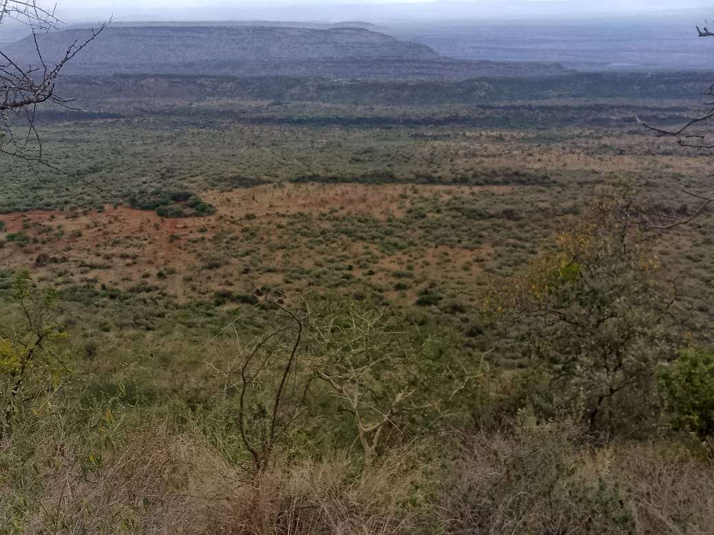Kimuka land for sale.