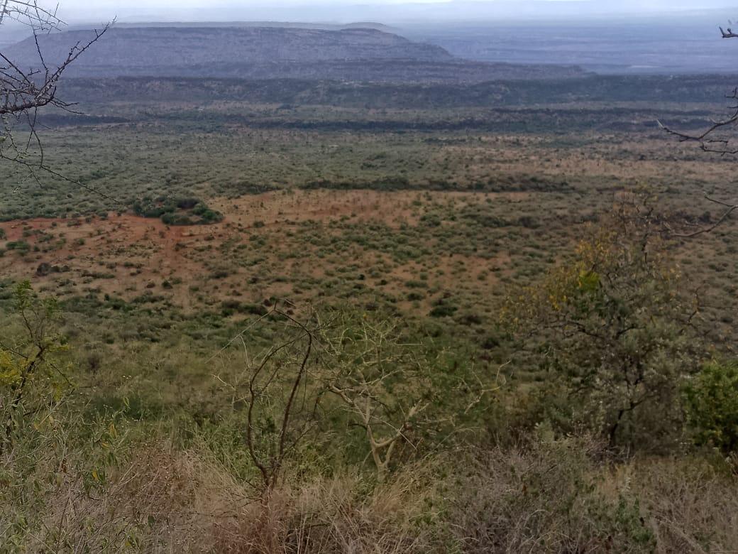 Kimuka land for sale.