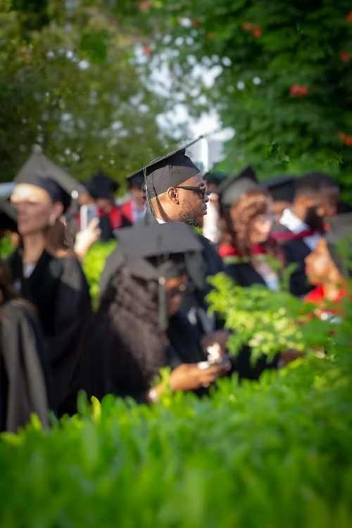 Education and Professional Services