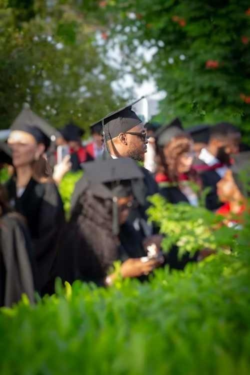 Education and Professional Services